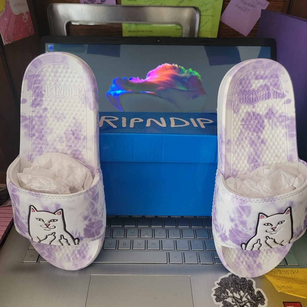 RipnDip slides